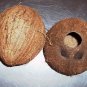 1 Whole Coconut Shell bird toy parts parrots cups craft