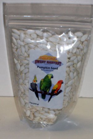 PUMPKIN SEED treats parrots parkaeets cockatiel macaw