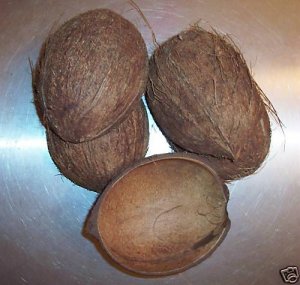 3 FURY 1/2 Shell Coconuts bird toy parts parrots cages