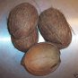 3 FURY 1/2 Shell Coconuts bird toy parts parrots cages