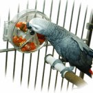 Wheel of Foraging bird toy parts parrots acrylic treats