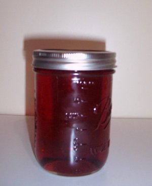 100% Oraganic RED PALM OIL 1 Pint Jar Vitamins parrots birds feathers & People