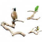 JAVA WOOD PERCH Xlarge bird toy parts cage parrots