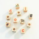 12 Large Activity wood Blocks bird toy parts parrots