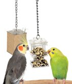 Foraging Box Feeder bird toy parts parrots tiels