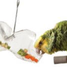 Seesaw Foraging bird toy feeder parrots greys amazons