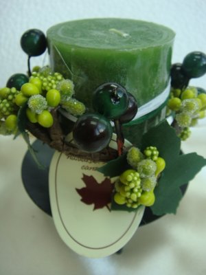 Small Family :: Green ::