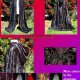 Medieval Clothing