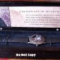 NEW LIMITED EDITION Harry Potter & Owl Sorcerer Watch