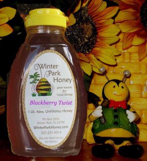 Blackberry Twist 16oz  - Raw, Pure, Natural
