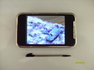NEW 8GB 8 GB TouchScreen MP3 MP4 Player Touch Screen FM Radio