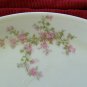 Haviland Platter with Gold Gilt Limoges France