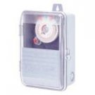 208/277V 30min. On/Off Timer - NEMA 3R Enclosed - DPST