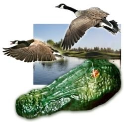Gator Guard