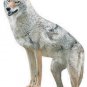 Menacing Coyote Predator Decoy