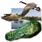 Bird-X Gator Guard