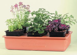 Emily's Garden System