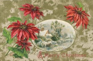 Vintage Christmas Postcard Winsch Back  Embossed Poinsettias framing snow scene Gold background