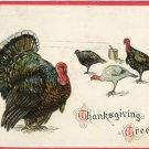 c 1912 Tuck Thanksgiving Postcard Embossed Turkeys