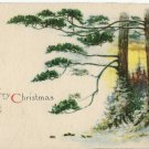 1916 Vintage Christmas Postcard Winsch back Pine Tree