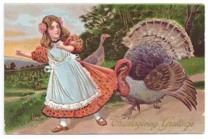 Vintage Thanksgiving Postcard Turkey Pulling Girls Dress Embosssed 1908