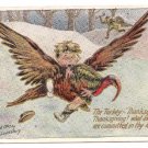 Vintage Thanksgiving Postcard Boy Rescuing Turkey AS 1907 Lounsbury