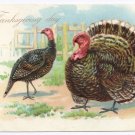 Vintage Tuck Thanksgiving Postcard Hen and Tom Turkey AS RJ Wealthy \\ Vintage Tuck Thanksgiving Postcard Hen and Tom Turkey AS RJ Wealthy \\