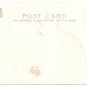 Vintage Tuck Thanksgiving Postcard Hen and Tom Turkey AS RJ Wealthy \\
