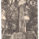Indian Monument Stockbridge MA Vintage Postcard
