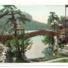 Lake Mohonk NY Rustic Bridge Vintage postcard Photostint
