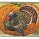 1907 Vintage Thanksgiving Postcard turkey Pumpkin