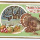 Vintage Thanksgiving Postcard turkey 1912