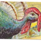 An American Beauty Turkey Vintage Thanksgiving Postcard 1909