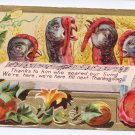 Turkeys Singing Song of Thanksgiving Vintage Postcard Turkeys 1910