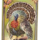 Vintage Thanksgiving Postcard Embossed Tom Turkey Autumn Leaves 1911