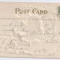Vintage Thanksgiving Postcard Turkey Pumpkin White Feather 1908 Embossed Gold