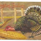 Vintage Thanksgiving Postcard Turkey Eating Corn Embossed Gold Moire ca 1910