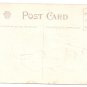 1908 Julius Bien Turkey Farm 9202 Vintage Embossed Thanksgiving Postcard