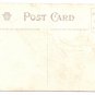 1908 Julius Bien Turkey 9001 Vintage Embossed Thanksgiving Postcard