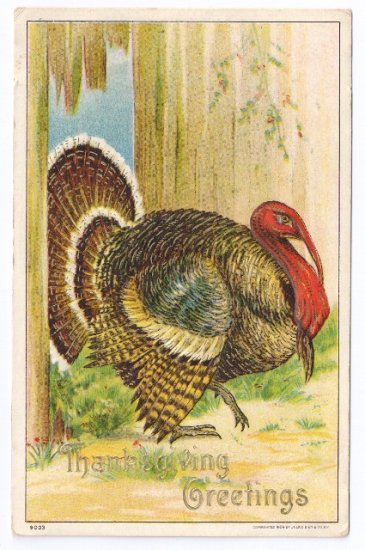 1908 Julius Bien Turkey Hole in Fence 9003 Vintage Thanksgiving Postcard