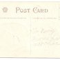 1908 Julius Bien Tom Hen Turkey 9102 Vintage Embossed Thanksgiving Postcard
