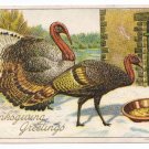 1908 Julius Bien Turkey 9105 Vintage Thanksgiving Postcard