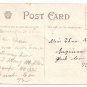1908 Julius Bien Turkey 9105 Vintage Thanksgiving Postcard