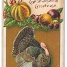 Vintage Thanksgiving Postcard Embossed Turkey Fruits Gourd ca 1910