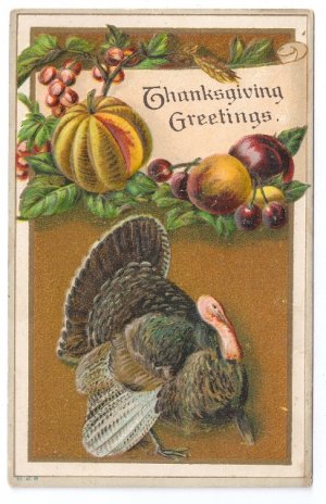Vintage Thanksgiving Postcard Embossed Turkey Fruits Gourd ca 1910