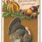 Vintage Thanksgiving Postcard Embossed Turkey Fruits Gourd ca 1910