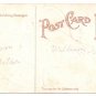 Tom Turkey Vintage Thanksgiving Postcard Embossed with Gold Accents