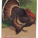 Vintage Thanksgiving Postcard Tom Turkey German PFB Embossed