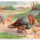 Farm Boy Turkey Family Tom Hen and Poults Vintage Embossed Thanksgiving Postcard