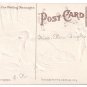 Farm Boy Turkey Family Tom Hen and Poults Vintage Embossed Thanksgiving Postcard
